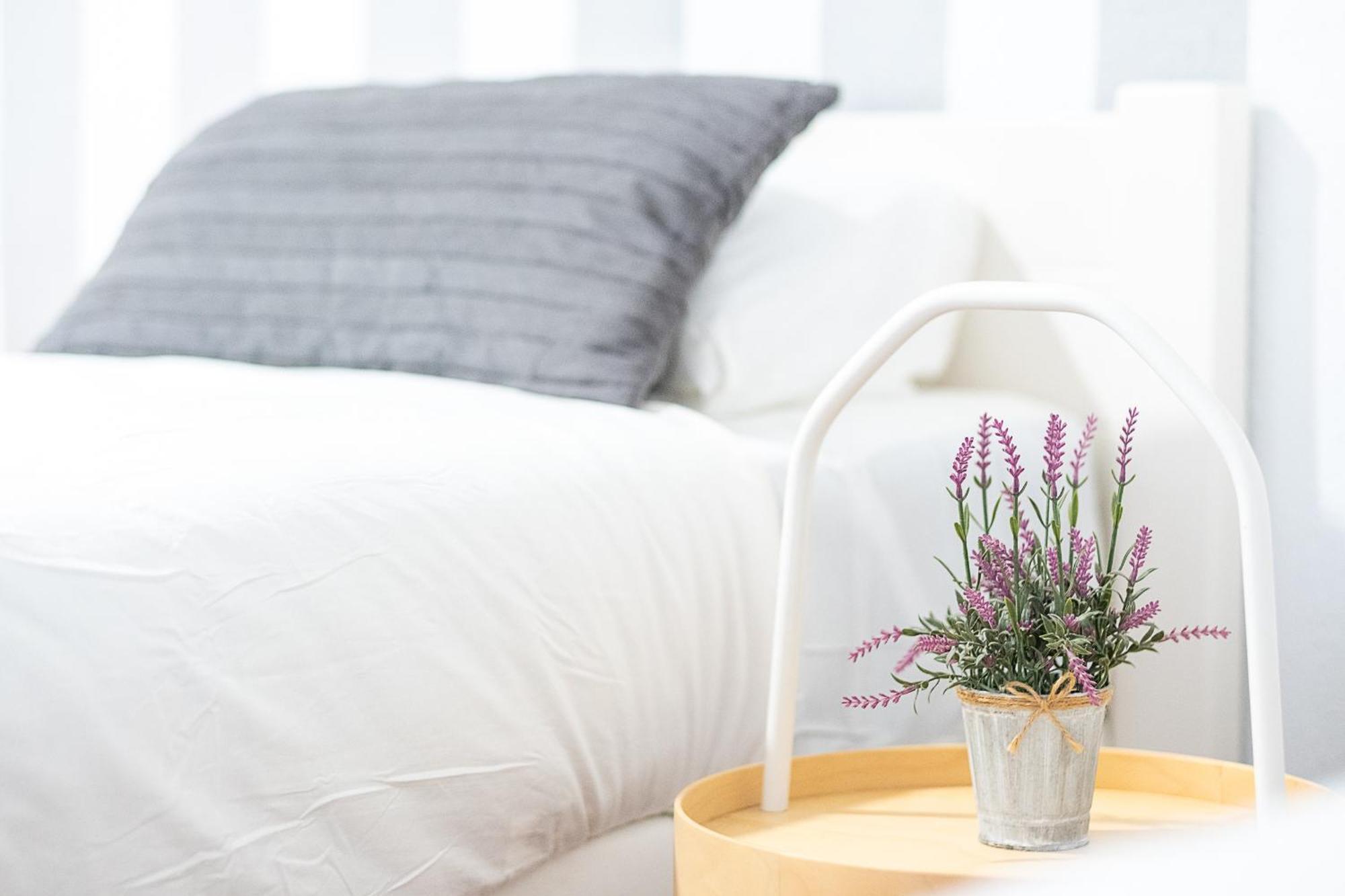 Apartamento New Folch Sevilla A Екстер'єр фото